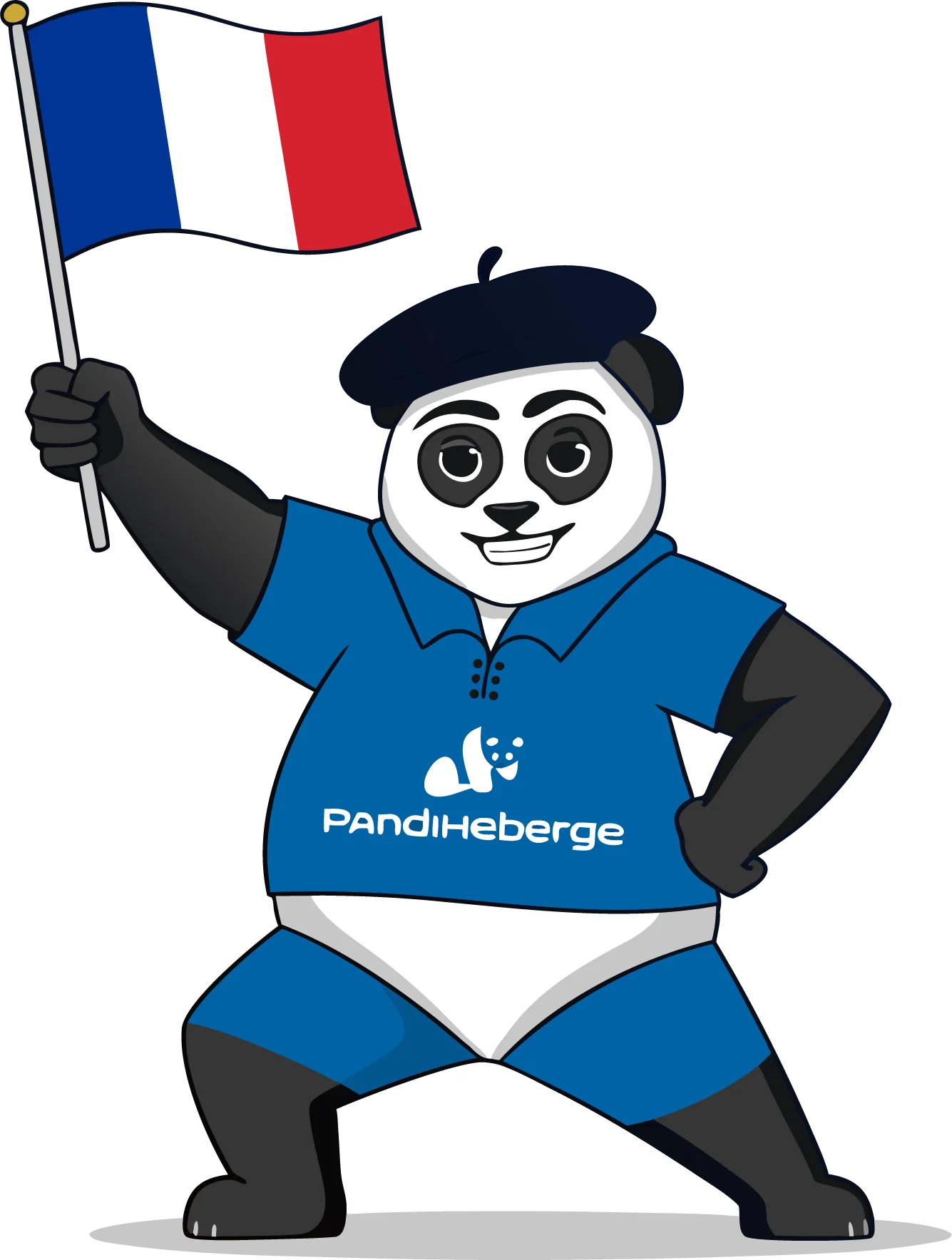 Panda hébergeur français indépendant RGPD