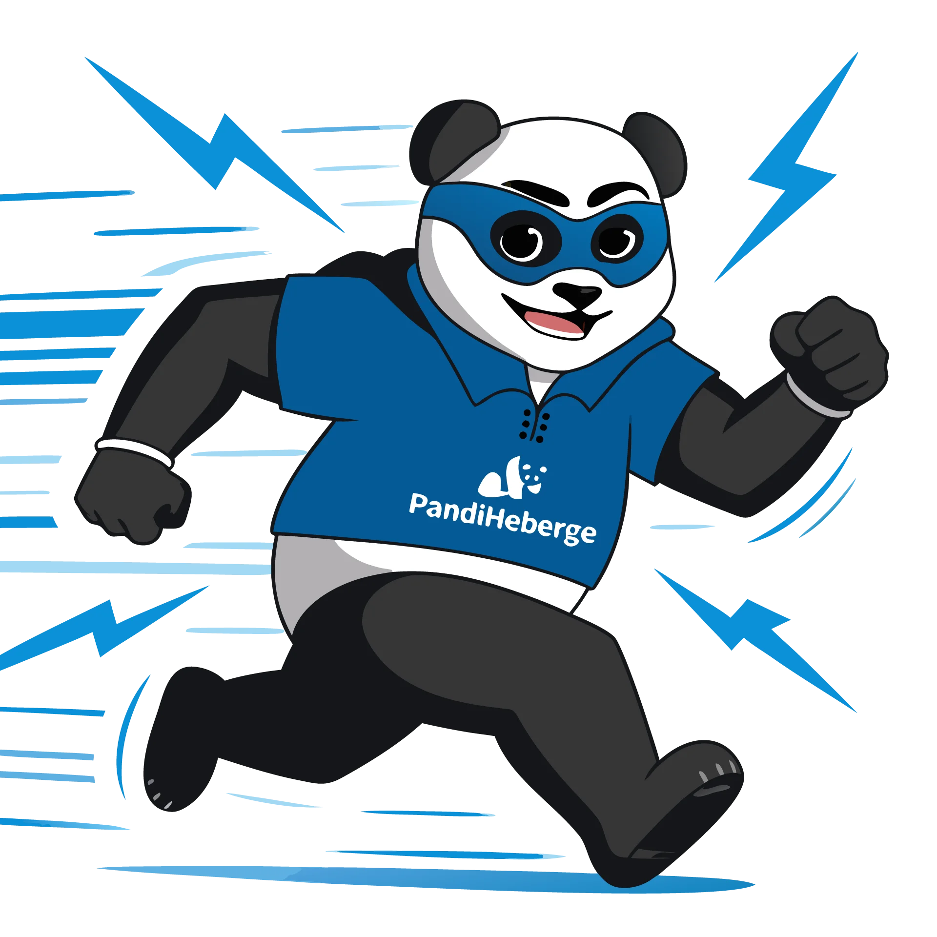 Panda hébergement web performant LiteSpeed NVMe