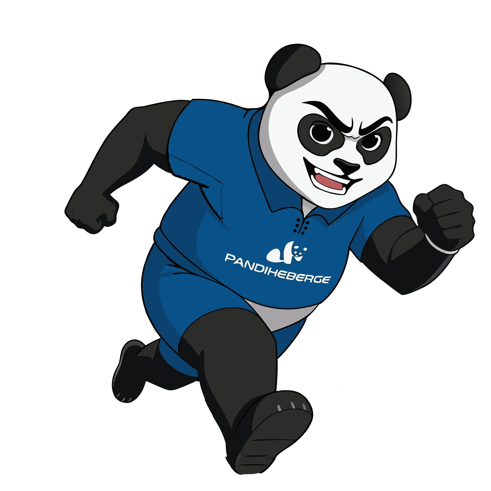 Panda performance — hébergement web LiteSpeed ultra-rapide